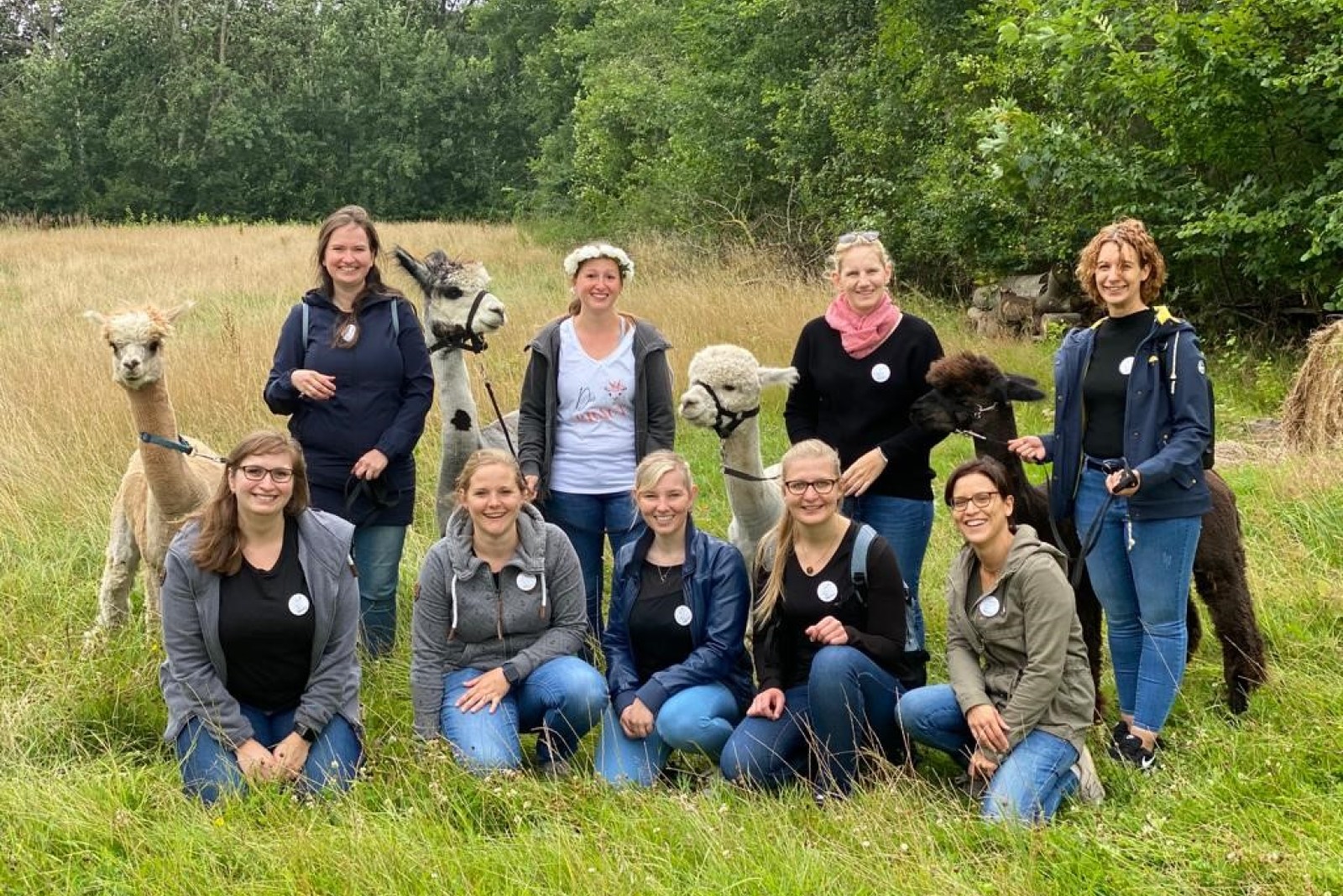 JGA im Grünen mit Alpakas